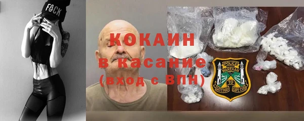 дживик Горняк