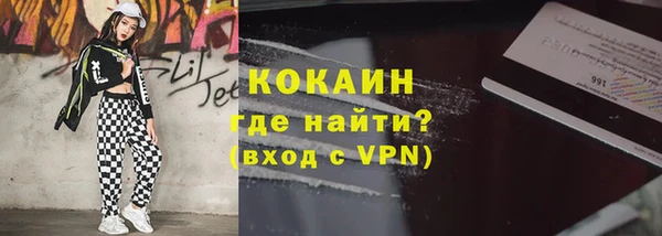 дживик Горняк