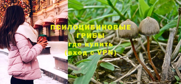 дживик Горняк