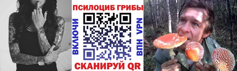 как найти закладки Нефтеюганск Галлюциногенные грибы MAGIC MUSHROOMS